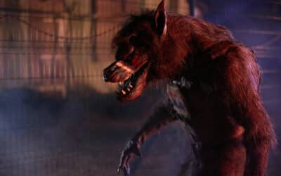 Exclusive Interview: Director Steven C. Miller on bringing a modern take on “WEREWOLVES” to life