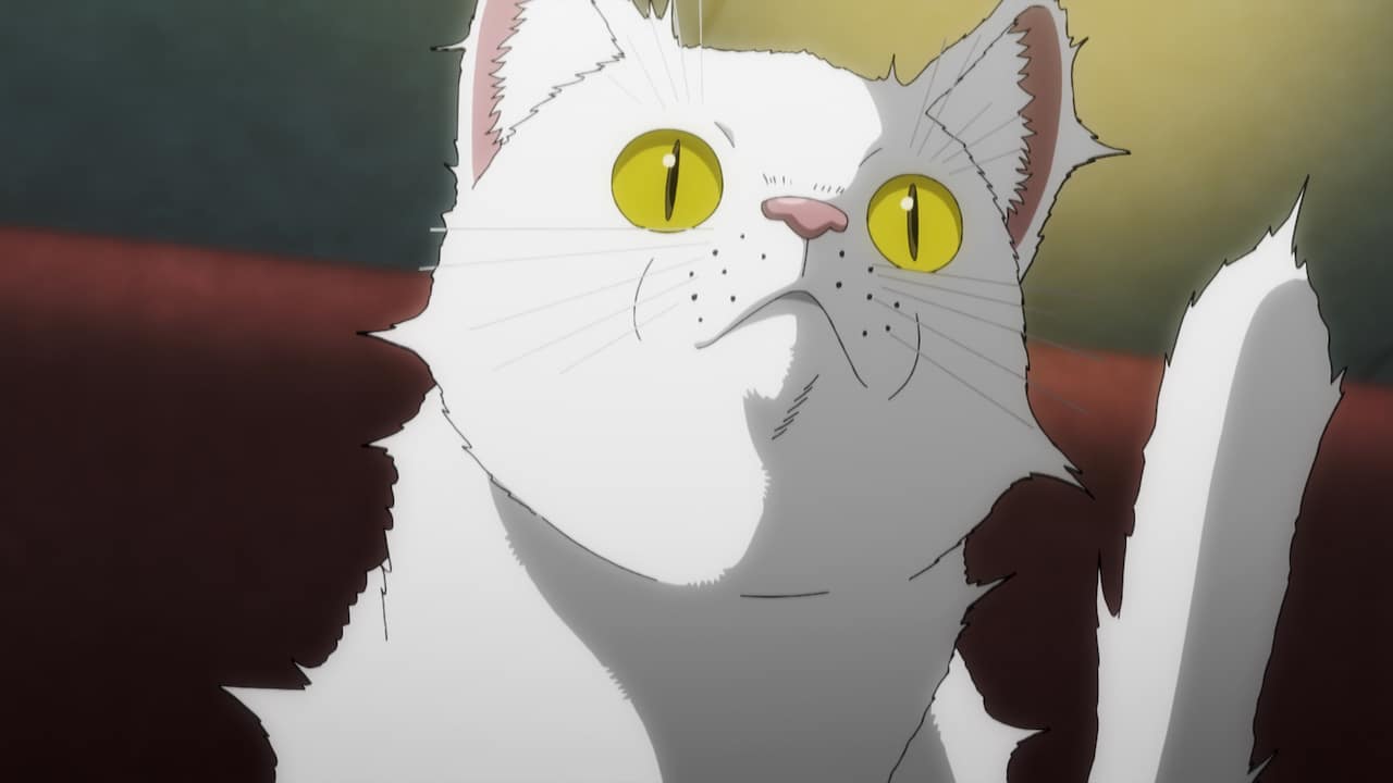 The fur flies in new trailer for Takashi Miike's animated “NYAIGHT