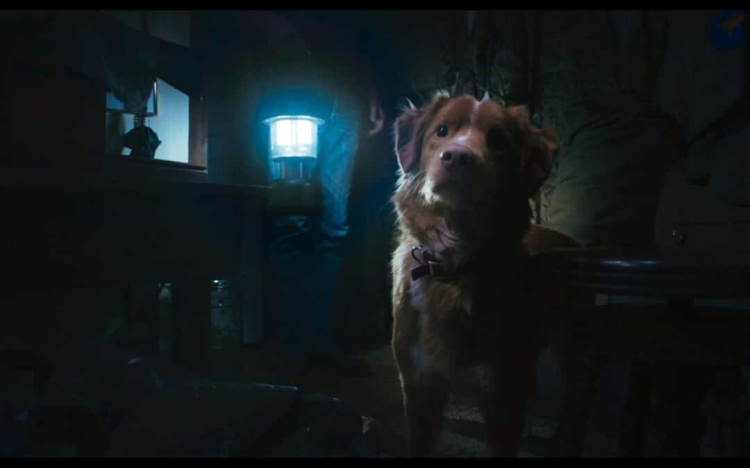 Poster and release date revealed for a “GOOD BOY” who sees ghosts