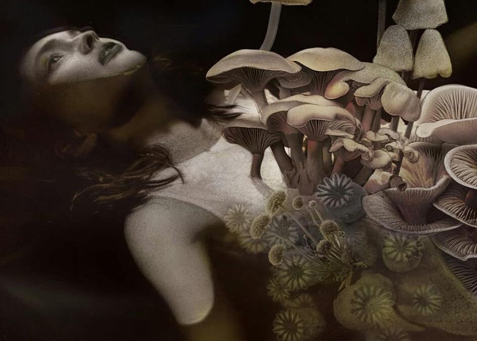 EXCLUSIVE INTERVIEW: AUTHOR WENDY N. WAGNER ON THE BEAUTY AND ROT OF HER TERRIFYING NOVEL “GIRL IN THE CREEK”