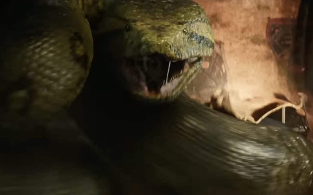Movie Review: “ANACONDA”—This one don’t got enough fun, hun
