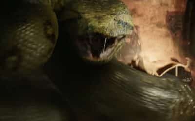 Movie Review: “ANACONDA”—This one don’t got enough fun, hun