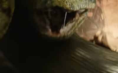 Movie Review: “ANACONDA”—This one don’t got enough fun, hun