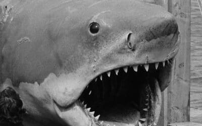 Book Review: You’re gonna read a bigger book with the updated “JAWS: MEMORIES FROM MARTHA’S VINEYARD”