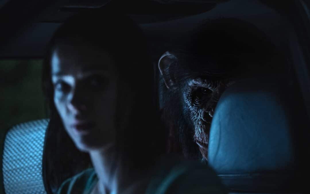 Movie Review: “PRIMATE” basically delivers “FRIDAPE THE 13TH”
