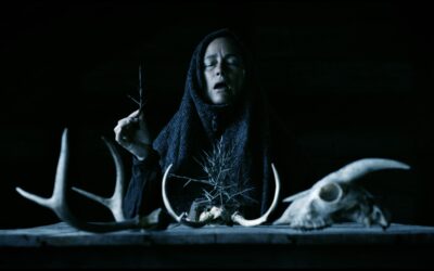 PIERCING THE VEIL: “MOTHER OF FLIES” – Putrefaction, Reclamation And Slaying The Beast