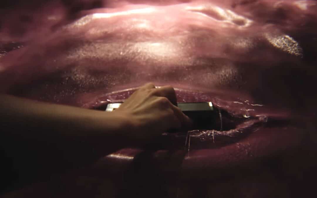 You can’t turn off the teaser for Jane Schoenbrun’s “TEENAGE SEX AND DEATH AT CAMP MIASMA”