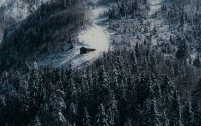 SHORT SHRIEKS: “ONCE UPON A TIME IN THE APOCALYPSE” Presents A Future Horror That’s Eerily Reminiscent Of The Past