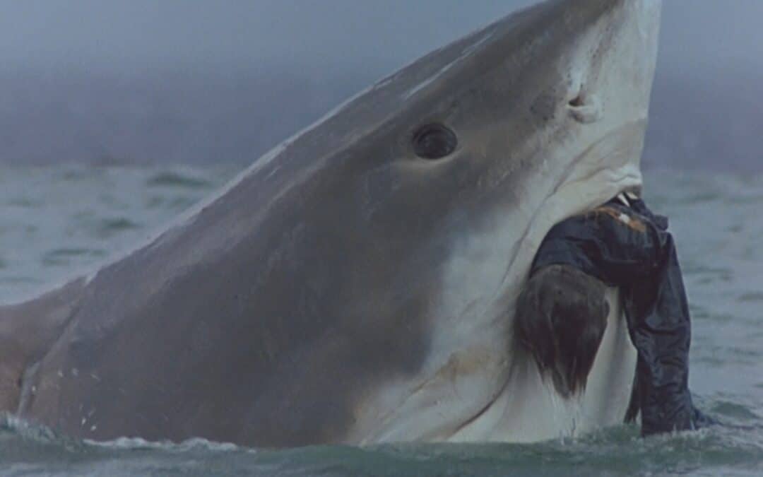 See “CRUEL JAWS” and celebrate “RIPTIDE” novel’s rerelease in NYC this month