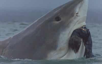 See “CRUEL JAWS” and celebrate “RIPTIDE” novel’s rerelease in NYC this month