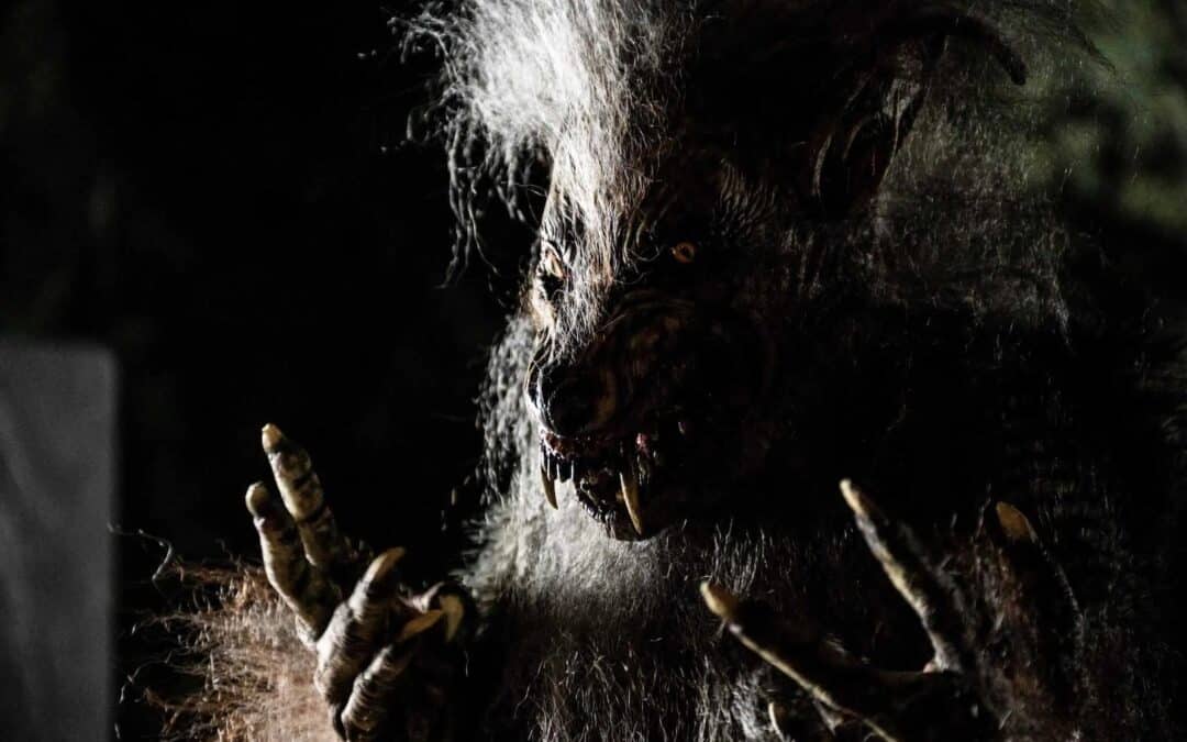 “MODELS VS. WEREWOLVES” trailer with Dee Wallace arises from Full Moon