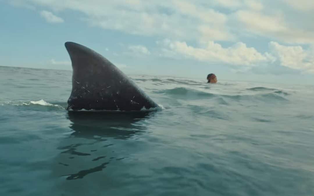 “THE BAY” is next month’s shark movie; trailer and poster