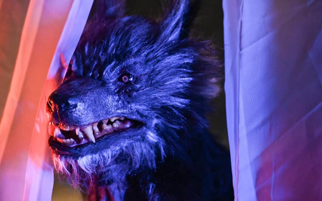 EXCLUSIVE SET VISIT: “FRENZY MOON” – A PRACTICAL EFFECTS MONSTER MOVIE WITH HEART