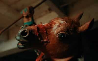 Exclusive: “HELLMARE” enters the Troma derby