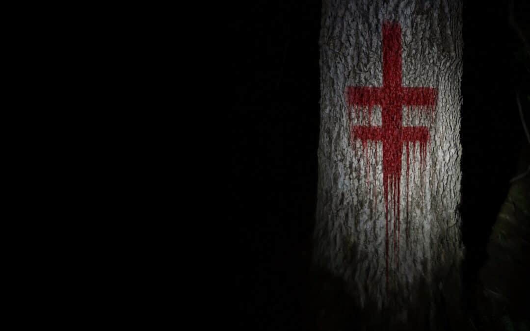 Exclusive comments, plus teaser and poster: Found-footage horror “NO WITNESSES”