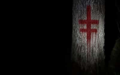 Exclusive comments, plus teaser and poster: Found-footage horror “NO WITNESSES”