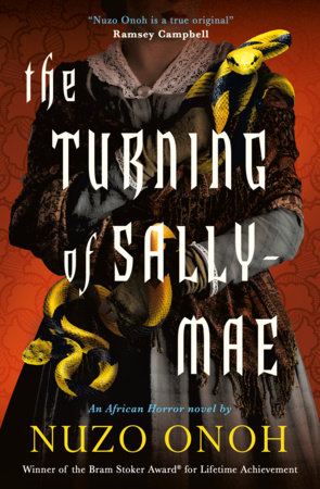 Cover art for The Turning of Sally-Mae by Nuzo Onoh